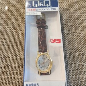 Citizen Q&Q Gold and Brown Watch - Analog